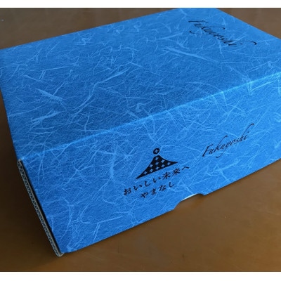 【先行受付2026年発送】旬選!大房シャインマスカット　2房～3房(約1.2kg)