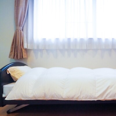 【衿元・足元羽毛増量＆完全立体】羽毛掛け布団/ポーランドホワイトグース93%