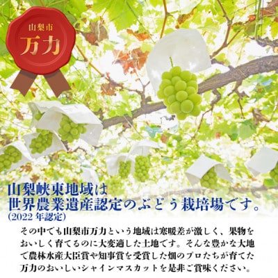 【2026年発送 先行受付】生産者直送『万力』極上シャインマスカット2房　計1kg～1.2kg程度【配送不可地域：離島】