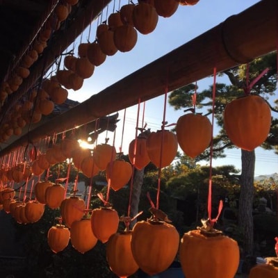 【甲州銘菓数量限定】手作り甲州百目枯露柿12～20個1号化粧箱入り【配送不可地域：離島】