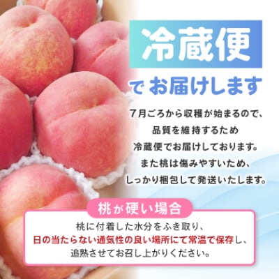 【2026発送予定】農家直送朝どり桃!大きくて甘い特選桃5～6玉入り山梨市産地直送約2kg箱【配送不可地域：離島】