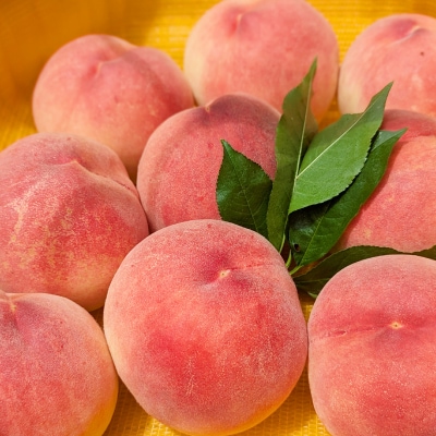 【2026発送予定】【訳あり品】ご家庭桃・朝もぎ産地直送・3kg以上【配送不可地域：離島】