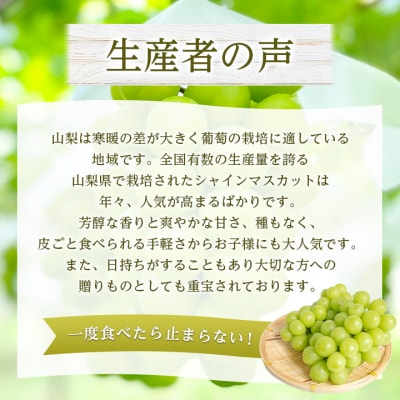 2026年発送 山梨県産 シャインマスカット 約1kg(2～3房) 山梨が誇る人気果物 熟練農家厳選【配送不可地域：離島・沖縄県】