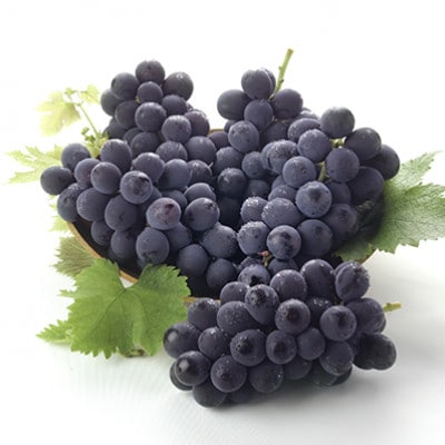 ぶどうジュース 山賊ぶどう 巨峰 100% ストレートジュース 720ml 2本 セット