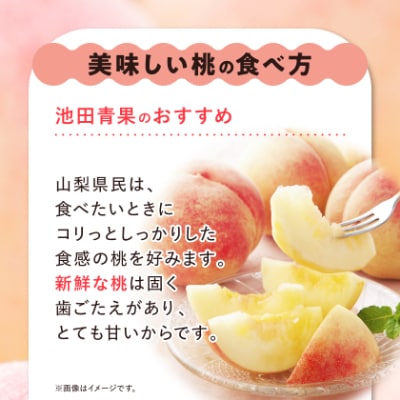 【2026年 先行受付】 桃 約2kg (5玉~8玉) 厳選 ! 池田青果の もも【配送不可地域：離島・沖縄県】