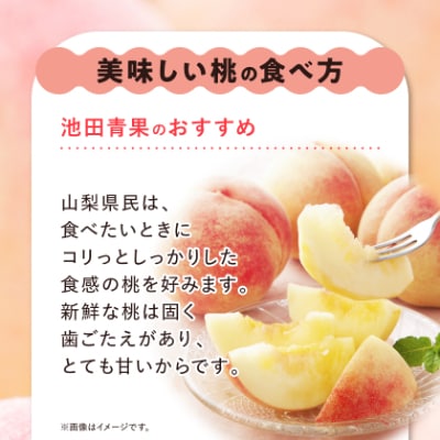 【2026年 先行受付】 桃 約3kg (8玉～12玉) 厳選 ! 池田青果の もも【配送不可地域：離島・沖縄県】