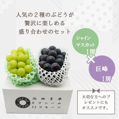 【2026年先行受付】シャインマスカット 巨峰 2種セット 大人気ぶどう2種盛り合わせ計1kg以上【配送不可地域：離島】