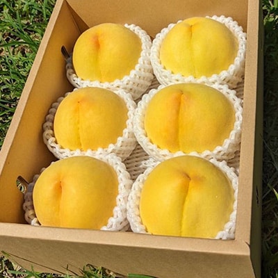 【ふるさと納税】2026年先行予約 山梨県山梨市産 黄桃 黄金桃 約2kg 5玉～8玉【配送不可地域：離島】