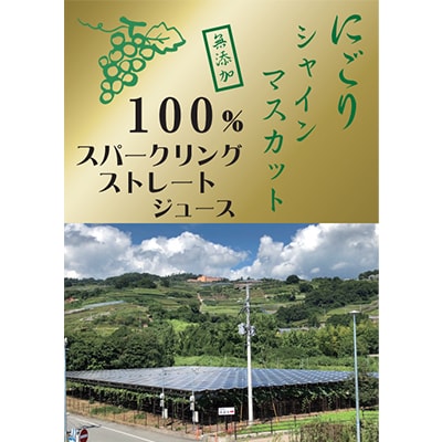 【数量限り】シャインマスカット果汁100%スパークリングぶどうジュース　300ml