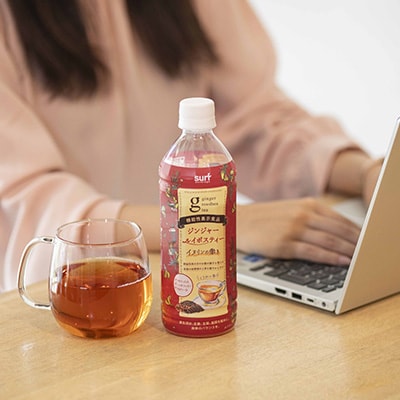 ジンジャー ルイボスティー 500ml 24本 計12L サーフビバレッジ