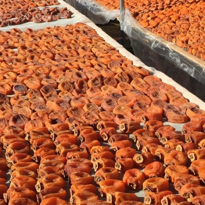 甲州名産「枯露柿」L～LLサイズ16個入り～20個入り　1.2kg以上