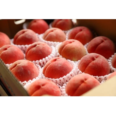 【2026年発送先行受付】山梨県山梨市産　高糖度　旬の採れたて桃【特選大玉5～6玉】約2kg【配送不可地域：離島】