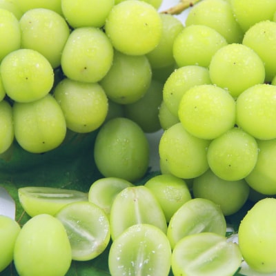 【2026年発送】シャインマスカット 約1kg 厳選!農家直送 シャインマスカット (2～3房)【配送不可地域：離島】