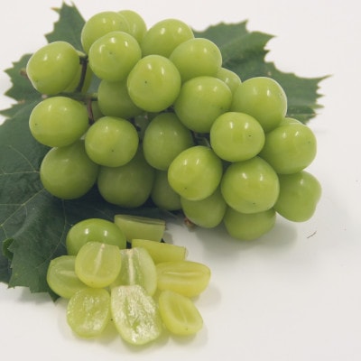 【2026年発送】厳選!プレミアムシャインマスカット1房　(700g以上サイズ)【配送不可地域：離島】