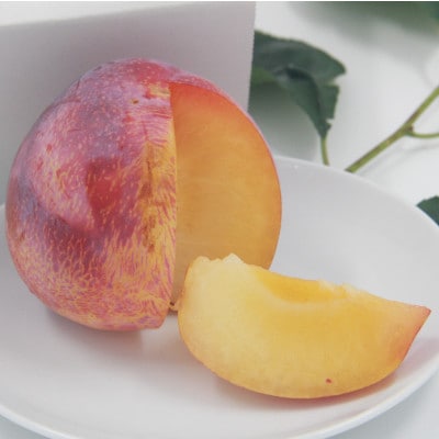 【2026年先行予約】すもも『中玉貴陽』約1.5kg(7～10玉)【配送不可地域：離島】