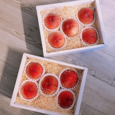 【一流レストラン御用達】リピーターNo.1樹上完熟桃ギリギリ限界まで完熟2026年6月下旬より発送【配送不可地域：離島・北海道・沖縄県・中国・四国・九州】