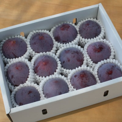 2026年 先行受付山梨市産プラム　太陽　約1.7kg(9～12玉)【配送不可地域：離島・沖縄県】