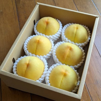 【2026年先行予約】山梨市産　黄金桃　約2kg(5～8玉)【配送不可地域：離島】