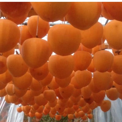 山梨市産高級干し柿・枯露柿約600g(9～12個入)生産者直送!