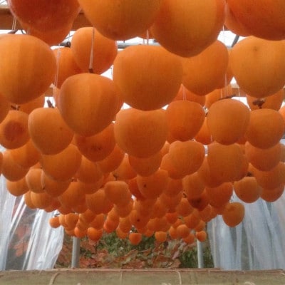 山梨市産高級干し柿・枯露柿約800g(12～16個入)生産者直送!