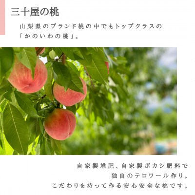「2026年先行受付」三十屋こだわり桃【3個入 1kg以上】【配送不可地域：離島・沖縄県】