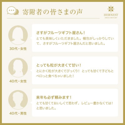 【2026年発送先行受付】山梨県山梨市産　旬の採れたてピオーネ　約1kg　2～3房【配送不可地域：離島】