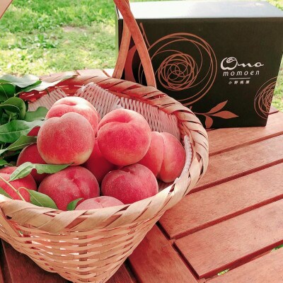 【桃通が愛してやまない樹上完熟桃】リピーターNo.1ギリギリ限界まで完熟2026年7月上旬より発送【配送不可地域：離島・北海道・沖縄県・中国・四国・九州】