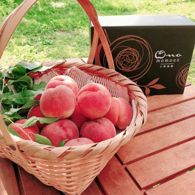 【他には真似できない】ギリギリまで樹上で完熟させたリピーターNo.1完熟桃2026年7月中旬より発送【配送不可地域：離島・北海道・沖縄県・中国・四国・九州】