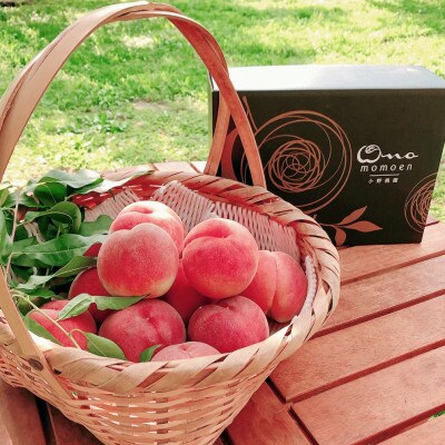 【有名レストラン採用】リピーターNo.1樹上完熟桃ギリギリ限界まで完熟2026年7月下旬より発送【配送不可地域：離島・北海道・沖縄県・中国・四国・九州】