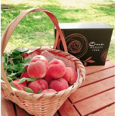 【一流レストランの味を自宅で堪能】贅を極めた樹上完熟桃ギリギリ限界まで完熟2026年8月上旬より発送【配送不可地域：離島・北海道・沖縄県・中国・四国・九州】