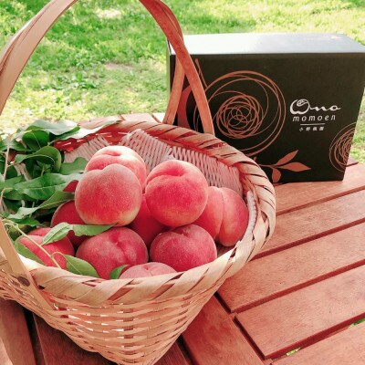 【一流レストラン続々採用】圧倒的人気を誇る樹上完熟桃ギリギリ限界まで完熟2026年8月中旬より発送【配送不可地域：離島・北海道・沖縄県・中国・四国・九州】