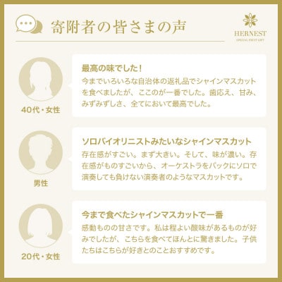 【2026年度先行受付】山梨県山梨市産　シャインマスカット　～SWEET JEWELRY～　20粒【配送不可地域：離島】