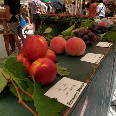 【糖度16度以上】海外セレブわずか5%しか収穫されない『樹上完熟ブランド桃』2026年6月下旬発送【配送不可地域：離島・北海道・沖縄県・中国・四国・九州】