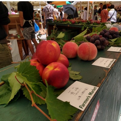 【海外セレブ絶賛】糖度16度以上わずか5%しか収穫されない樹上完熟ブランド桃2026年7月上旬発送【配送不可地域：離島・北海道・沖縄県・中国・四国・九州】