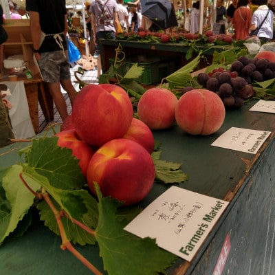 【選ばれし上位5%】海外セレブも取り寄せる糖度16度以上樹上完熟ブランド桃2026年7月下旬発送【配送不可地域：離島・北海道・沖縄県・中国・四国・九州】