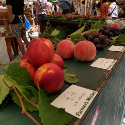 【海外セレブ贈答品】世界レベル糖度16度以上わずか5%『樹上完熟ブランド桃』2026年8月下旬発送【配送不可地域：離島・北海道・沖縄県・中国・四国・九州】