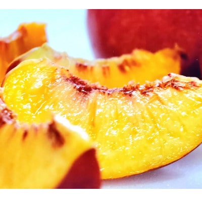 【お中元に贈る方続出】邪気を払う神聖な果物比類なき絶対糖度シャトーネクタリン2026年7月上旬発送【配送不可地域：離島・北海道・沖縄県・中国・四国・九州】