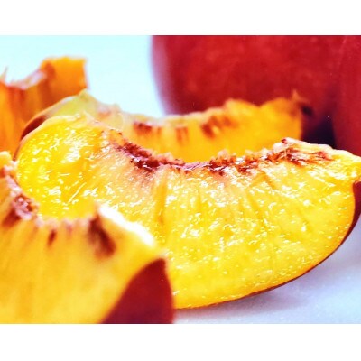 【大切な方に選ばれる贈り物】最高糖度25度比類なき絶対糖度シャトーネクタリン2026年7月中旬発送【配送不可地域：離島・北海道・沖縄県・中国・四国・九州】