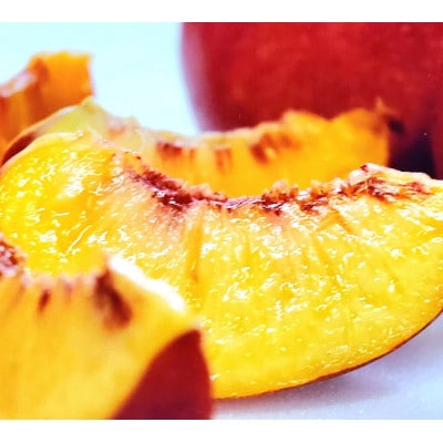 【ご先祖様へ最高のお盆贈り物】最高糖度25度比類なき絶対糖度シャトーネクタリン2026年8月上旬発送【配送不可地域：離島・北海道・沖縄県・中国・四国・九州】