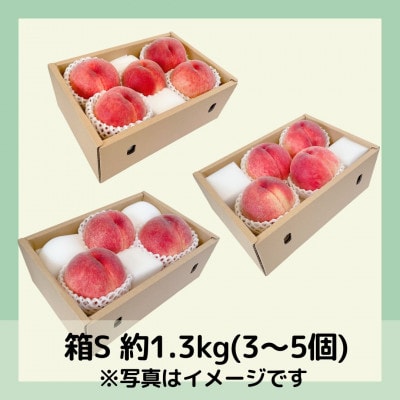 【2026年先行予約】山梨・萩原フルーツ農園の白桃　S (約1.3kg/3～5個)【配送不可地域：離島】