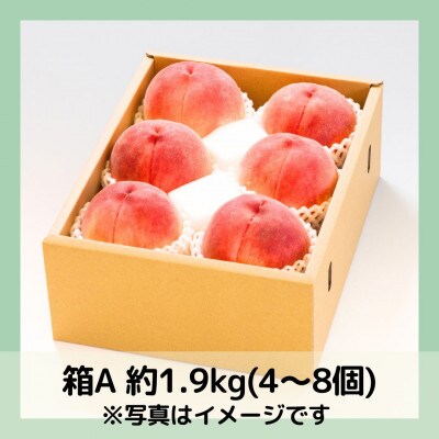 【2026年先行予約】山梨・萩原フルーツ農園の白桃　A (約1.9kg 4～8個)【配送不可地域：離島】