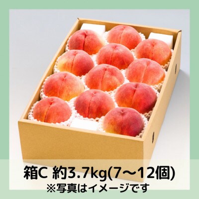 【2026年先行予約】山梨・萩原フルーツ農園の白桃　C (約3.7kg 7～12個)【配送不可地域：離島】