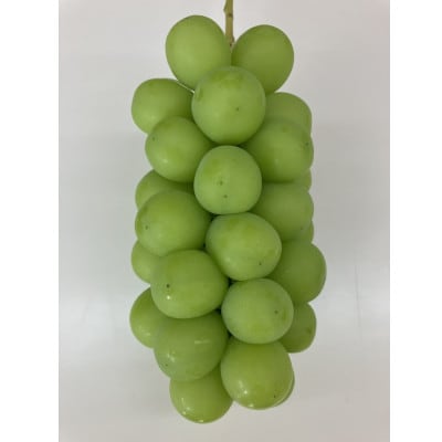 【2026年先行受付】山梨市産シャインマスカット(極上)1房(650g以上)【配送不可地域：離島】