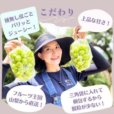 【2026年配送】農園直送!厳選!山梨産シャインマスカット2房(1kg以上)【配送不可地域：離島・沖縄県】