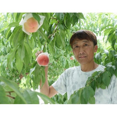 山梨県産白桃2kg箱(5～8玉)【配送不可地域：離島】