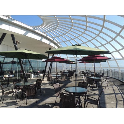 お食事券  3000円