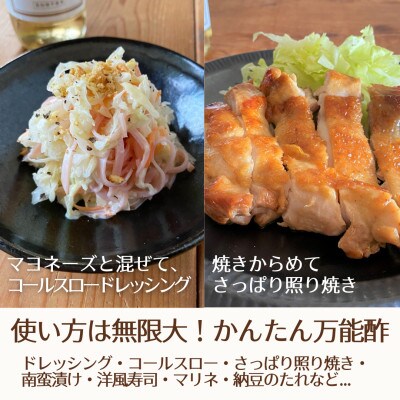 【簡単・時短おうちごはん応援!】ピクルスワインビネガー10本セット〈自社醸造ワインビネガー使用〉