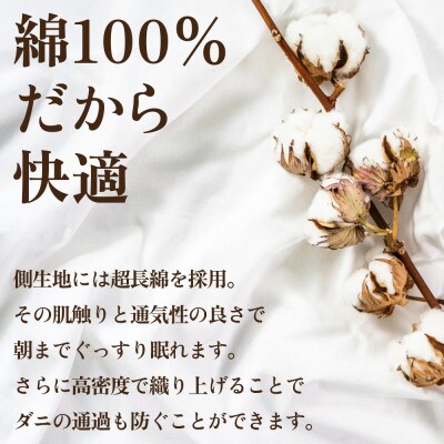 【抗菌・抗ウイルス加工】合い掛け羽毛布団(セミダブル)綿100% 日本製 防ダニ【甲州羽毛ふとん】