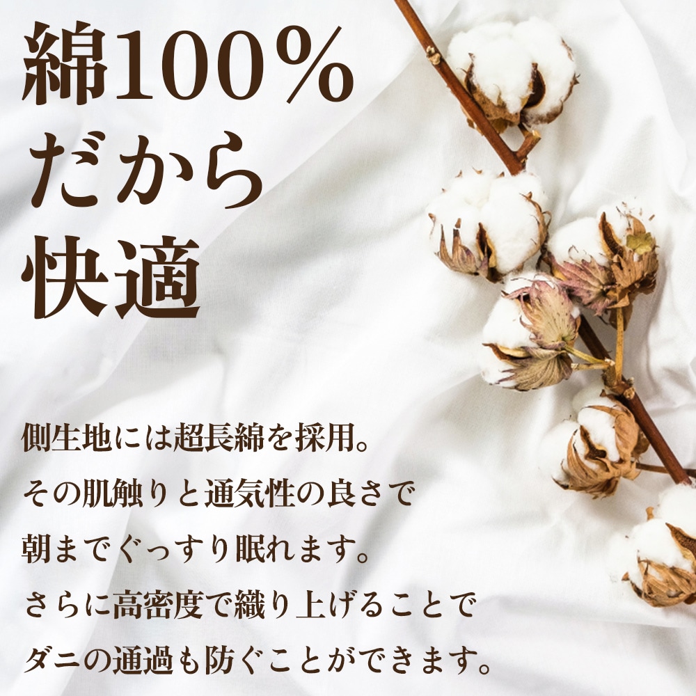 【抗菌・抗ウイルス加工】肌掛け羽毛布団(ダブル)綿100% 日本製 春夏OK【甲州羽毛ふとん】