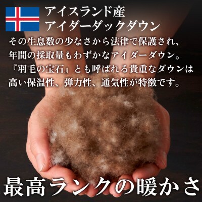 本掛け羽毛布団(シングル・ブルー)二層キルトアイダーダウン95% お任せカバー付【甲州羽毛ふとん】